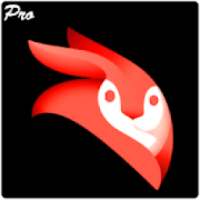 Tips Videoleap Video Editor Enlight