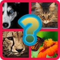 animal Quiz - 2020