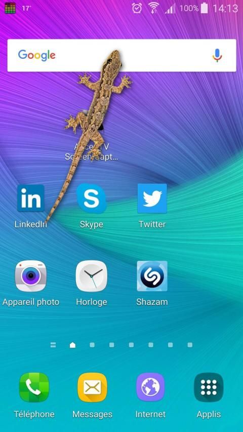 Lizard in phone prank screenshot 2