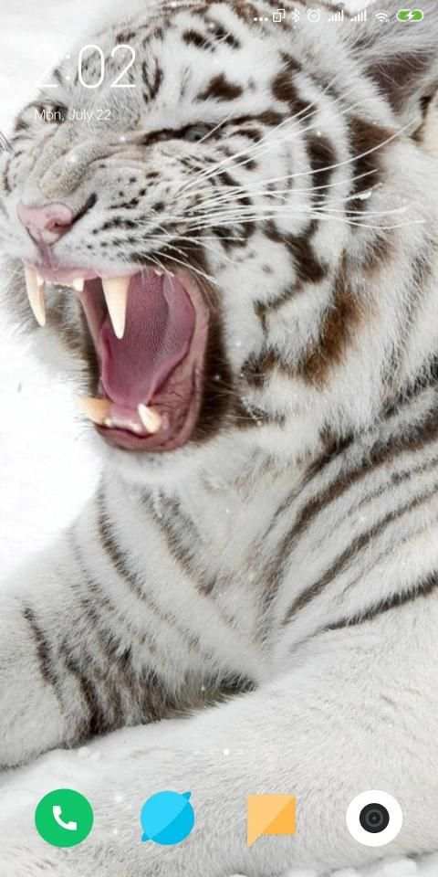 Tiger Live Wallpaper स्क्रीनशॉट 6