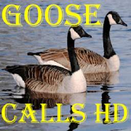 Goose Calls HD
