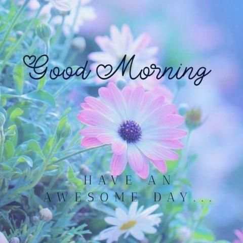 Good Morning Images APP - GOOD Morning Flowers स्क्रीनशॉट 2