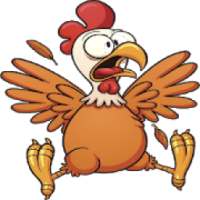 Crazy Bird logo