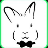 Rabbit - Conductor on 9Apps