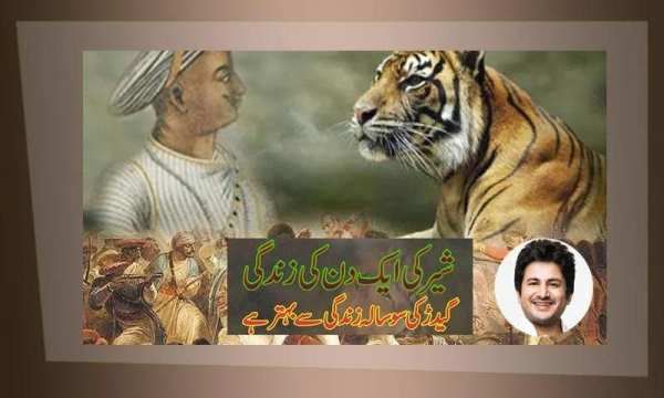 Tipu Sultan Photo Frame screenshot 5
