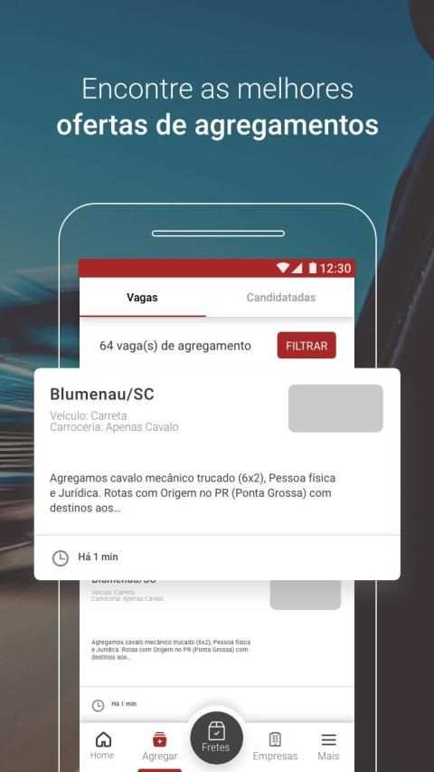 Fretebras screenshot 8