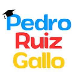 Pedro Ruiz Gallo 3.8.1