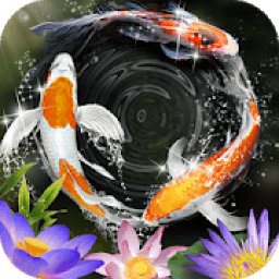 Lively Koi Fish Live Wallpapers आइकन