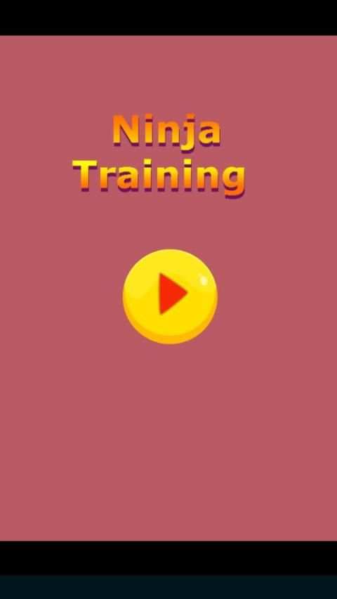 Ninja Training screenshot 5