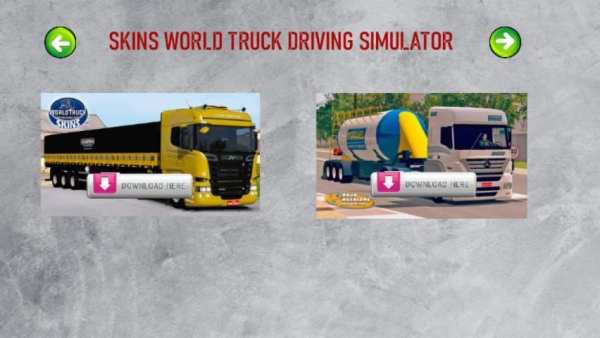 SKINS WORLD TRUCK DRIVING SIMULATOR - WTDS screenshot 4
