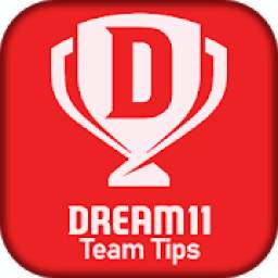 Dream 11 Experts - Dream11 Winner Prediction Tip