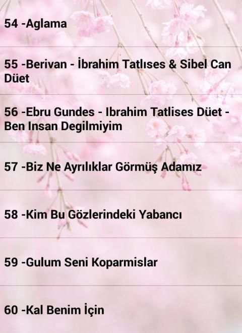 İbrahim Tatlıses Şarkıları İnternetsiz 60 Şarkı screenshot 3