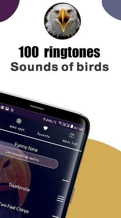 most beautiful bird tones 2020 screenshot 2