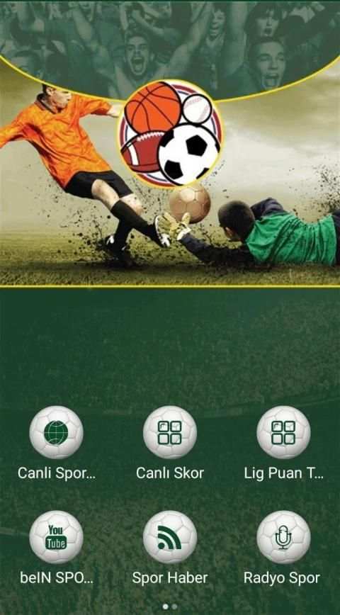 Canlı Spor TV screenshot 8