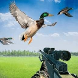 Duck Hunting with Gun – Duck Shooting Simulator
