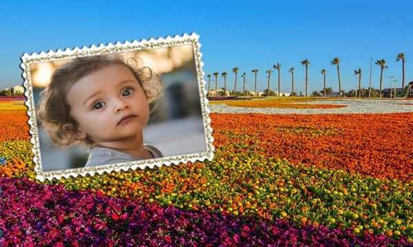 Awesome Garden Frame Photo application screenshot 7