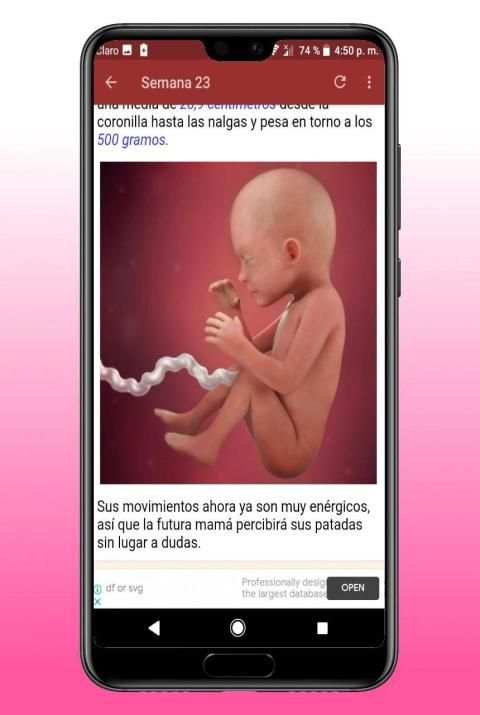Embarazo Semana a Semana स्क्रीनशॉट 7