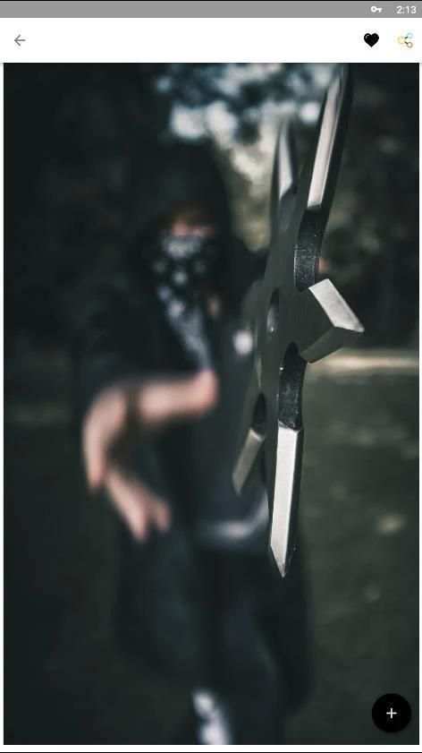 Ninja Wallpapers screenshot 2